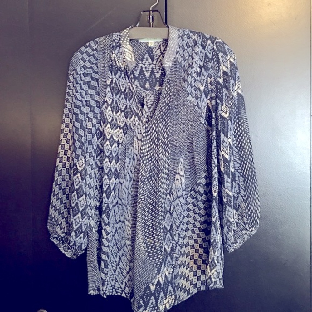 Wonderful Blue & White sheer Pleione top